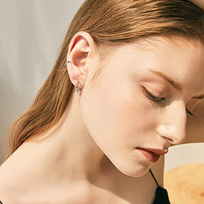 Jstyle Stainless Steel Hoop Earrings for Women Hypoallergenic Hoops Stack | Earrings for Sensitive Ears, Secure Click Clasps, Silver/Gold/Rose Gold, 10mm 15mm 20mm Small Medium Large Loop Earrings Set - size: 20 millimeters