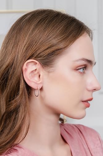 Hoops & Loops 925 Sterling Silver Cubic Zirconia Inside Out Oval Hoop Earrings for Women, 20mm 25mm 30mm - color: 20mm-Rose Gold