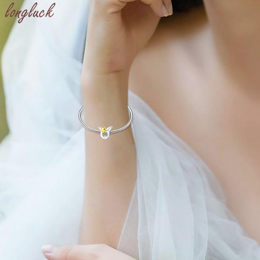 925 Sterling Silver 12 Astrological Signs Charm for Bracelets and Necklace Happy Birthday Charms for Bracelet and Necklace Valentine's Day Mother's Day Gift - style: Taurus Charm