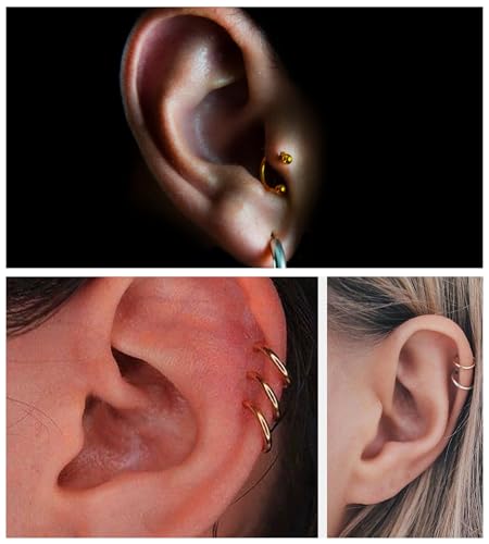 16PCS Surgical Stainless Steel Hinged Clicker Segment Horseshoe Septum Lip Eyebrow Rings 16G Nose Ring Hoop Cartilage Helix Conch Tragus Rook Daith Earrings Piercing Jewelry for Women Men 6mm 8mm 10mm 12mm - color: Gold Tone