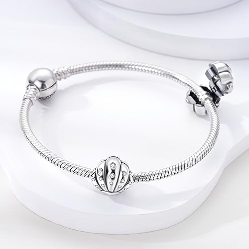Hapour Clip Spacer Charm for Bracelet 925 Sterling Silver Stopper Beads | Heart Stopper Charm, Butterfly Lucky Clover Sunflower Openable Clip Lock Jewelry Beads for Women Mom - color: 2PCS Silver Shell