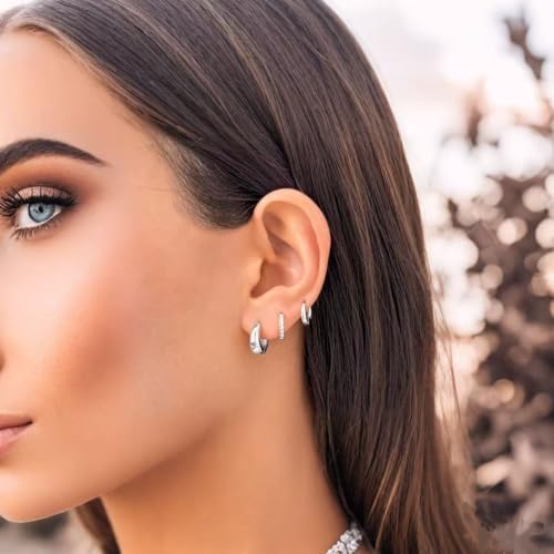 Chunky Small Hoop Earrings for Women 14mm/16mm/19mm Stainless Steel Huggie Earrings Everyday Jewelry Gift for Wife Mom, with Gift Box - color: Silver 14mm