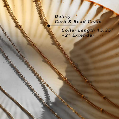 Jean Beau Dainty Pendant Necklaces for Women, Cute Chain Necklace Jewelry Gift - color: Shell