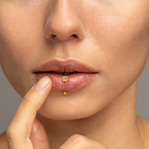2Pcs Cat Paw Gold Eyebrow Rings Rook Piercing Jewelry 16G 6mm 8mm Threaded Cartilage Tragus Earrings 316L Stainless Steel Paw Prints Vertical Labret Lip Piercing Jewelry - color: Gold, size: 16 gauge(1.2mm)-6mm