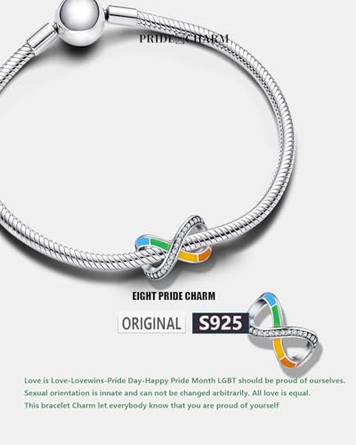 KEQ Rainbow Dangle Charm for Bracelet Necklace In A World Full Of Darkness Be A Rainbow Pride Month - color: Rainbow Infinity