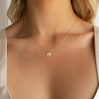HANLI 14K Gold Plated Necklaces for Women - Dainty Butterfly, Star of David, Moon and Star, Sun, Lotus, Infinity, Hummingbird, Bee,Boots,Chill,Sunflower Pendant Designs - Elegant Jewelry for Women - color: Elephant-necklace