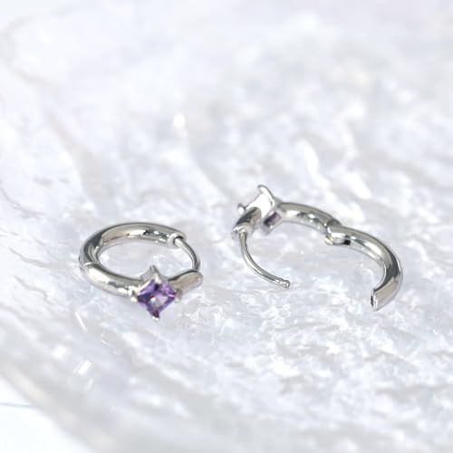 316L Surgical Steel Birthstone Hoop Earrings for Women | Lightweight, 5A Cubic Zirconia, Hypoallergenic, Lead & Nickel Free, 8mm Huggie Hoops - color: Silver: 02. February (Amethyst)