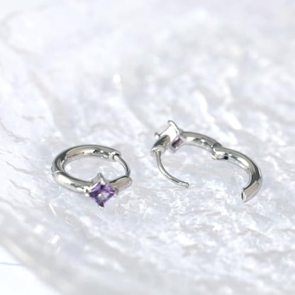316L Surgical Steel Birthstone Hoop Earrings for Women | Lightweight, 5A Cubic Zirconia, Hypoallergenic, Lead & Nickel Free, 8mm Huggie Hoops - color: Silver: 02. February (Amethyst)