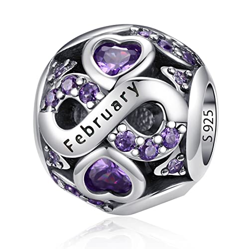 HappyStar 925 Sterling Silver Birthstone Charms fits Charms Bracelets for Woman，with 5A Cubic Zirconia Dangle Pendant Bead,Happy Birthday Charms for Bracelet and Necklace - color: C2 Infinity Symbol February Birthstones