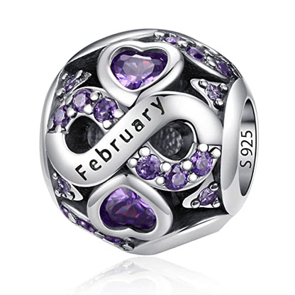 HappyStar 925 Sterling Silver Birthstone Charms fits Charms Bracelets for Woman，with 5A Cubic Zirconia Dangle Pendant Bead,Happy Birthday Charms for Bracelet and Necklace - color: C2 Infinity Symbol February Birthstones