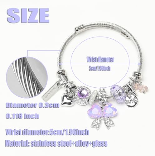 DS Charm Bracelets for girls,exquisite cute cartoon friendship bracelets Silver Stainless Steel Bangle with birthday Gift box, Adjustable girls jewelry Suitable for holiday gifts - style: Silver-purple butterfly 3