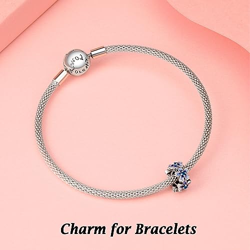Annmors S925 Clip Spacer Safety Chain Stopper Charms for Pandora, Gift Mom Daughter Friend Sister Wife Grandma Girlfriend Fmaily On Christmas Mothers Valentines Halloween Graduation - color: C04-2pcs Purple Flowers Spacers