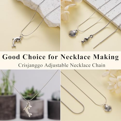 Crisjanggo 10 Pack Silver Adjustable Necklace Chain for Jewelry Making | Stainless Steel Thin Link Chains Bulk Adjustable with Needle Threader Lobster Clasps 20 Inches - color: Silver S