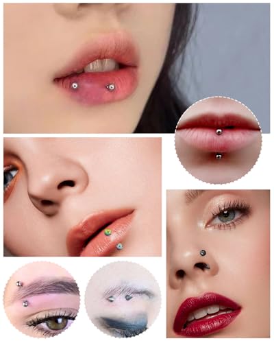 JELIEE 64pcs Eyebrow Piercing Jewelry Surgical Steel Rook Piercing Jewelry Curved Barbell Tiny Eyebrow Ring Vertical Labret Lip Jewelry Ear Rook Helix Conch Daith For Women Men 16g 6mm/8mm/10mm/12mm