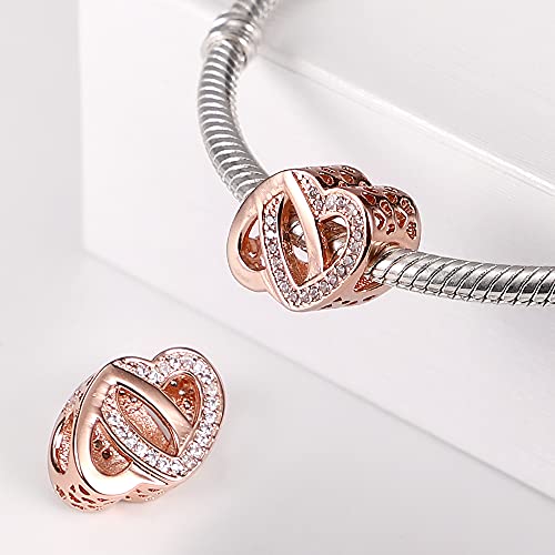 925 Sterling Silver Charms for Bracelets Necklaces Dangle Pendant With 5A Cubic Zirconias Bead Charm for Women DIY Jewelry - style: Entwined Hearts Charm