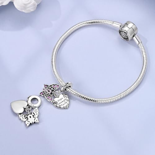 LNQOBU 925 Sterling Silver Charms for Bracelets Necklaces,5A Cubic Zirconias Evil Eye Dangle Beads Charms Jewelry Gift for Women (With one Spacer Beads Charms) - style: Charm 635-39