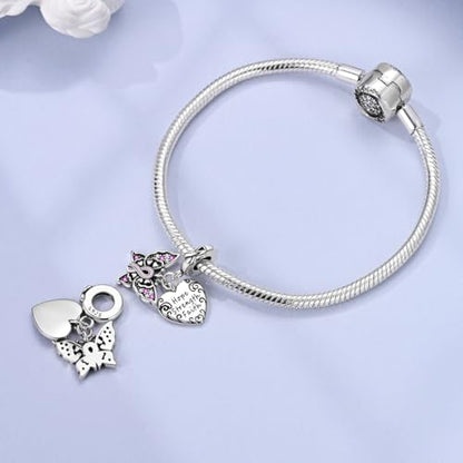 LNQOBU 925 Sterling Silver Charms for Bracelets Necklaces,5A Cubic Zirconias Evil Eye Dangle Beads Charms Jewelry Gift for Women (With one Spacer Beads Charms) - style: Charm 635-39