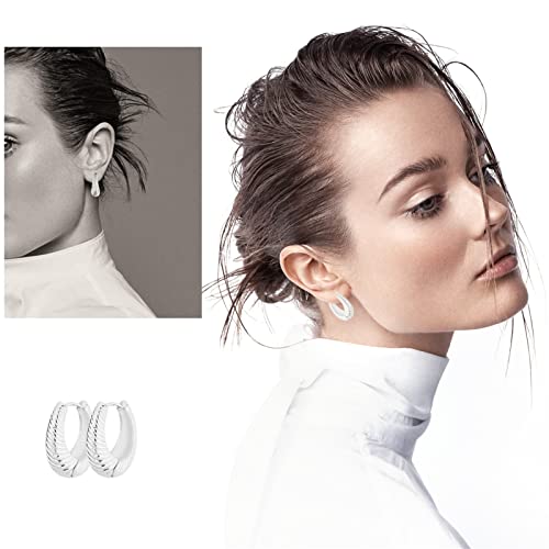 Wgoud 6 Pairs Chunky Gold Hoop Earrings for Women, 14K Gold Plated Hoop Earrings Hypoallergenic, Thick Lightweight Twisted Huggie Hoops Earring Set for Women’s Jewelry GIfts - color: 6 Prs Chunky Silver
