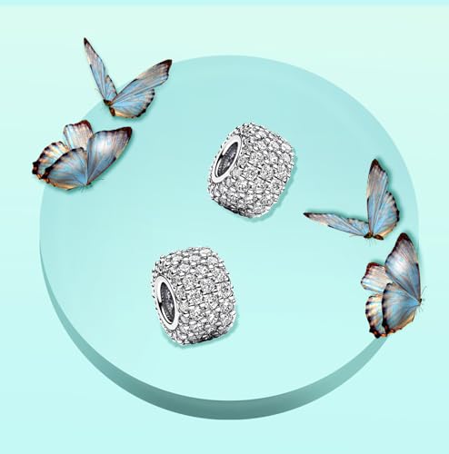 Annmors S925 Clip Spacer Safety Chain Stopper Charms for Pandora, Gift Mom Daughter Friend Sister Wife Grandma Girlfriend Fmaily On Christmas Mothers Valentines Halloween Graduation - color: C02-2pcs Sliver Clear Spacers