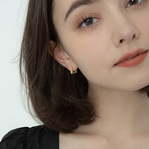 2 Pairs 14K Gold Plated Minimalist Hoop Earrings Small Dainty Geometric Square and Rectangle Huggies Hoops for Girls Women Gift, gold, silver and black - color: Gold