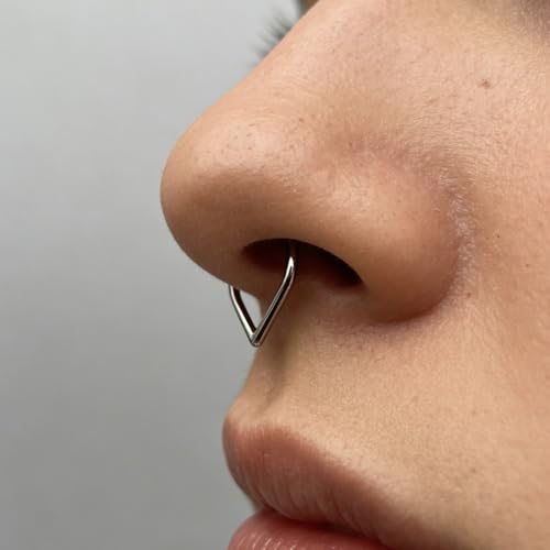 Titanium 16G Septum Ring Piercing Jewelry Nose Rings Hinged Clicker Hoop | G23 Titanium Silver Gold Hinged Segment Daith Piercing Jewelry Non-irritating , Clicker Septum Nose Piercing Jewelry Hoops - color: 02 Heart-Gold, size: 16G-10mm
