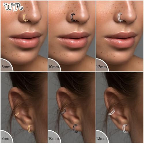 G23 Titanium Conch Piercing Jewelry Hoop: 16G 8mm/10mm/12mm Diamond Cartilage Earring Helix Double Piercing Hoop Septum Rings Hypoallergenic Nose Rings Hinged Segment Clicker Lip Rings Rook Daith Tragus Earrings - color: Silver-Double Layers