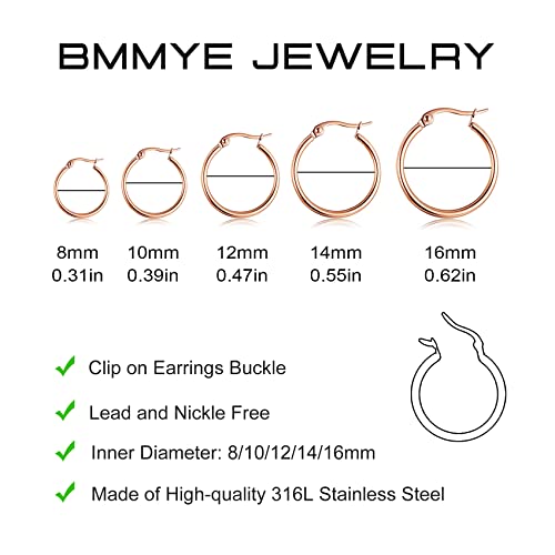 5-10 Pairs Small Gold Silver Hoop Earrings for Women, Stainless Steel Earrings Set Mens Lightweight Thin Hypoallergenic Small Hoops Set - style: 5pcs-Rose 8-16mm