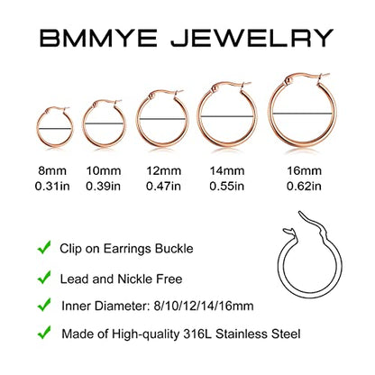5-10 Pairs Small Gold Silver Hoop Earrings for Women, Stainless Steel Earrings Set Mens Lightweight Thin Hypoallergenic Small Hoops Set - style: 5pcs-Rose 8-16mm