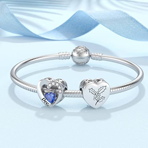 SEVENWELL Jan-Dec Birthstone Charms for Pandora Bracelets, Heart Charm | Fits Most European Charm Bracelets, Sparkling Heart CZ, Birth Flower Engraved, Gift Ready, Nickel-Free - color: December Birthstone Charm