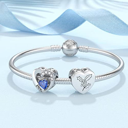 SEVENWELL Jan-Dec Birthstone Charms for Pandora Bracelets, Heart Charm | Fits Most European Charm Bracelets, Sparkling Heart CZ, Birth Flower Engraved, Gift Ready, Nickel-Free - color: December Birthstone Charm
