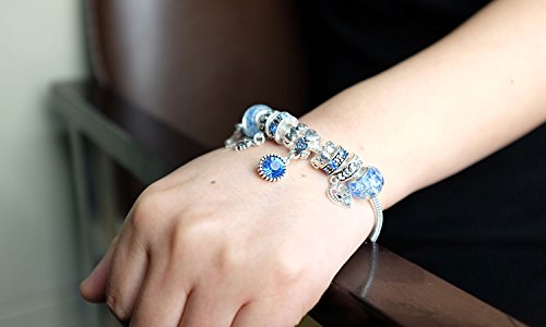 Falari Birthstone Bracelet Multi-Color Charm Beads Silvertone Birthday Gifts for Women - color: 12-December