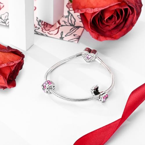 Hapour Clip Spacer Charm for Bracelet 925 Sterling Silver Stopper Beads | Heart Stopper Charm, Butterfly Lucky Clover Sunflower Openable Clip Lock Jewelry Beads for Women Mom - color: Pink CZ Heart Shape