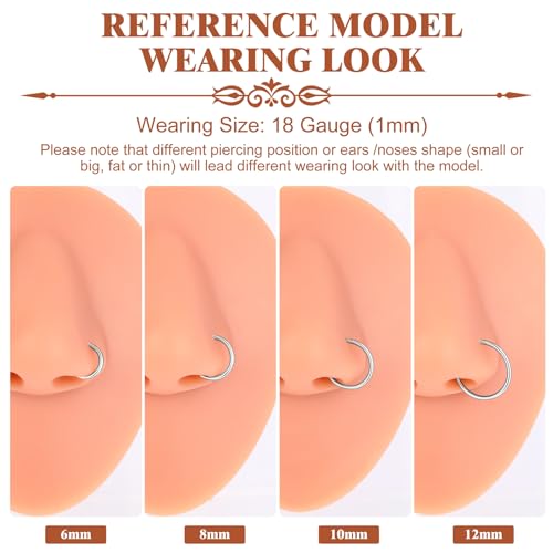 4Pcs Titanium Nose Rings Hoops for Women Men, 18G Gold/Silver Nose Hoops | Hinged Clicker Septum Rings Tragus Conch Helix Daith Lip Body Piercing Jewelry - color: Silver