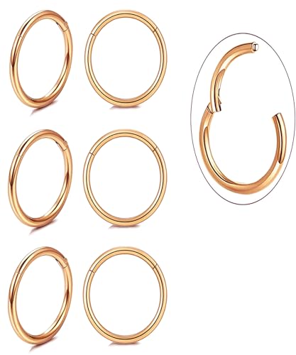 Unisex Dainty Tiny 18k Real Gold Plating Cartilage Huggie Hoop Earrings, 16G Surgical Steel Small Endless Hinged Hoops Earring for Earlobe Cartilage Helix Rook Daith Conch Nose Lip Body Piercing Jewelry - color: Rose Gold 8mm