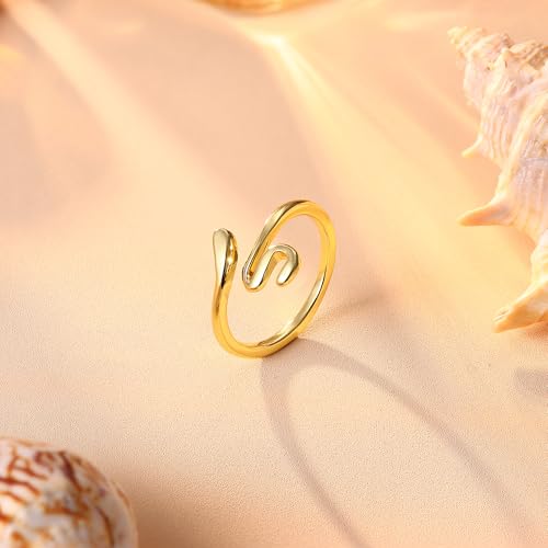 FASACCO 14k Gold Fillled Toe Rings for Women Non Tarnish, Dainty Hug CZ Band Toe Rings Gold Adjustable Open Toe Ring Summer Beach Foot Jewelry for Women - style: snake