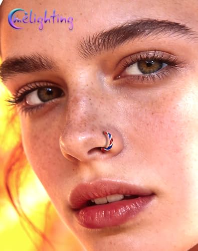Melighting 20G Twist Nose Ring Hoop Stainless Steel 316L Piercing Jewelry | 7/8 mm Nose Piercing Jewelry, Cute Hinged Segment Clicker Lobe Helix Daith Cartilage Earring for Women - color: Steel RDBL, size: 20g8mm