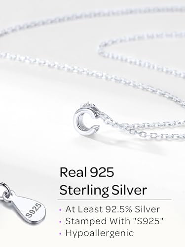 ChicSilver 925 Sterling Silver Initial Necklace for Women Dainty Letter Jewelry Personalized Gift - style: 17.Q