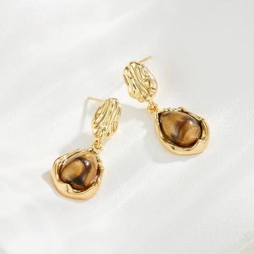 Dr's gift Chunky Leopard Print Earrings for Women 14K Gold Plated Statement Huggie Hoop Earrings Brown Acrylic Tortoise Resin Cheetah Trendy Jewelry - color: Brown 3