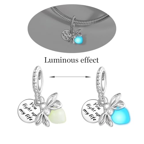925 Sterling Silver Charms Pendants Mom Heart Dog koi fish Sea Turtle Football Charms for bracelet Pendants Beads Mom Sister Wife Family, Friends, Birthday gifts - style: Firefly Pendant