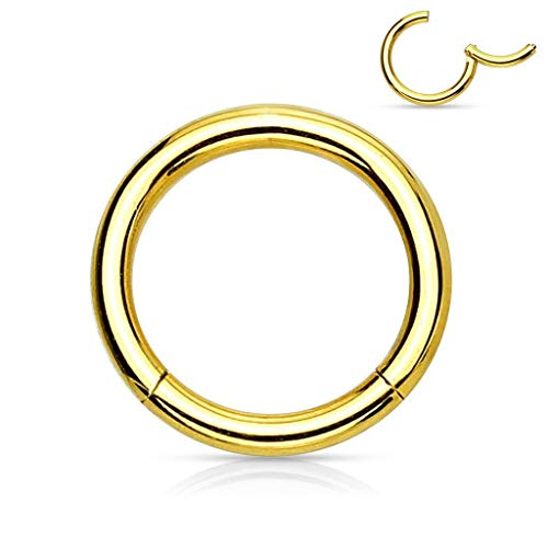 PAIR (2 PCS) 18G 5/16" (8mm) Gold Titanium Plated Hinged Segment Seamless 316L Surgical Stainless Steel Nose Septum Clicker Ring Huggie Sleeper Hoop Earrings Cartilage Helix Lobes Body Piercing