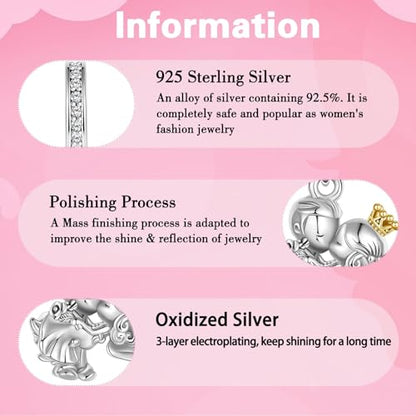 925 Sterling Silver Charms fits Bracelets and Necklace Pendant Bead Charms Jewelry Gift for Women Family Friends - style: Married Couple Charm