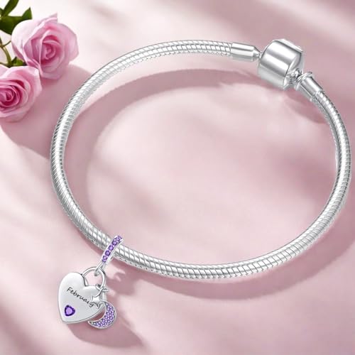 12 Months Birthstone Heart Charm Moon and Star Pendant Bead Compatible with Pandora Bracelet Women - style: February