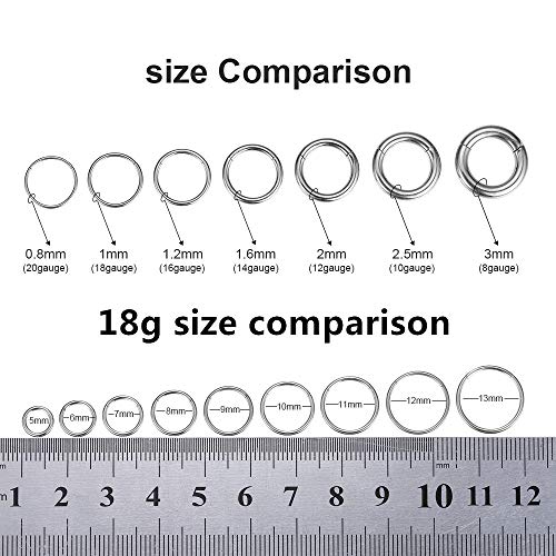 ORANGELOVE Hypoallergenic Nose Rings 20G 18G 16G 14G 12G 10G 8G 316l Surgical Steel Septum Jewelry Hinged Segment Ring Body Piercing Nose Hoop Lip Rings Nose Helix Cartilage Rook Earrings - color: Silver, size: 1pc 18 Gauge 8mm