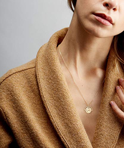 Aobei Pearl 18K Gold Plated Moon Star Lion Evil Eye Love Heart Cross Pendant Necklace Medallion Paperclip Chian Choker Layering Jewery for Women - color: Golden Horse Rider