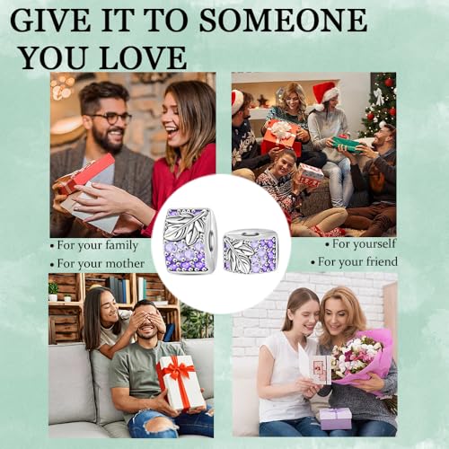 925 Sterling Silver Stopper Clip Charms for Bracelet Necklace Spacer Beads with 5A Cubic Zirconia Mother's Day Christmas DIY Gift for Women(2PCS) - style: Harvest Grapes