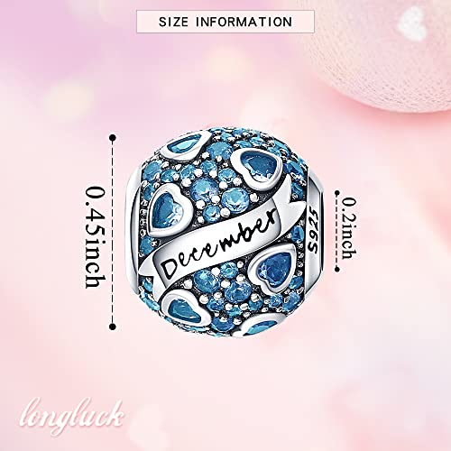 925 Sterling Silver Birthstone Charms fits Charms Bracelets for Woman，with 5A Cubic Zirconia Dangle Pendant Bead,Happy Birthday Charms for Bracelet and Necklace Valentine's Day Mother's Day Gift - color: 1-December Birthstones