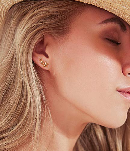 Gold Star and Sunburst Stud Earrings - AllenCOCO Ear Climbers Earrings for Women, 14K Gold Plated, 925 Silver Post Hypoallergenic - color: Star Earring