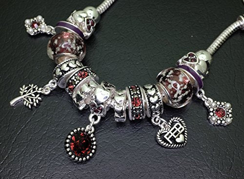 Falari Birthstone Bracelet Multi-Color Charm Beads Silvertone Birthday Gifts for Women - color: 02-February