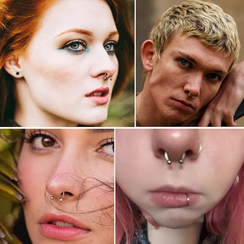 16G Hinged Clicker Segment Septum Rings Stainless Steel CZ Septum Jewelry Horseshoe Nose Lip Ring with Replacement Balls 3mm Cartilage Helix Tragus Earrings Daith Piercing Jewelry 6/8/10/12mm - style: 16S