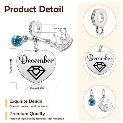 Birthday Gifts for Women Birthstone Charms for Bracelets Necklaces Jewelry Gift for Mom Wife Daughter Granddaughter Niece Sister Girlfriend - color: December